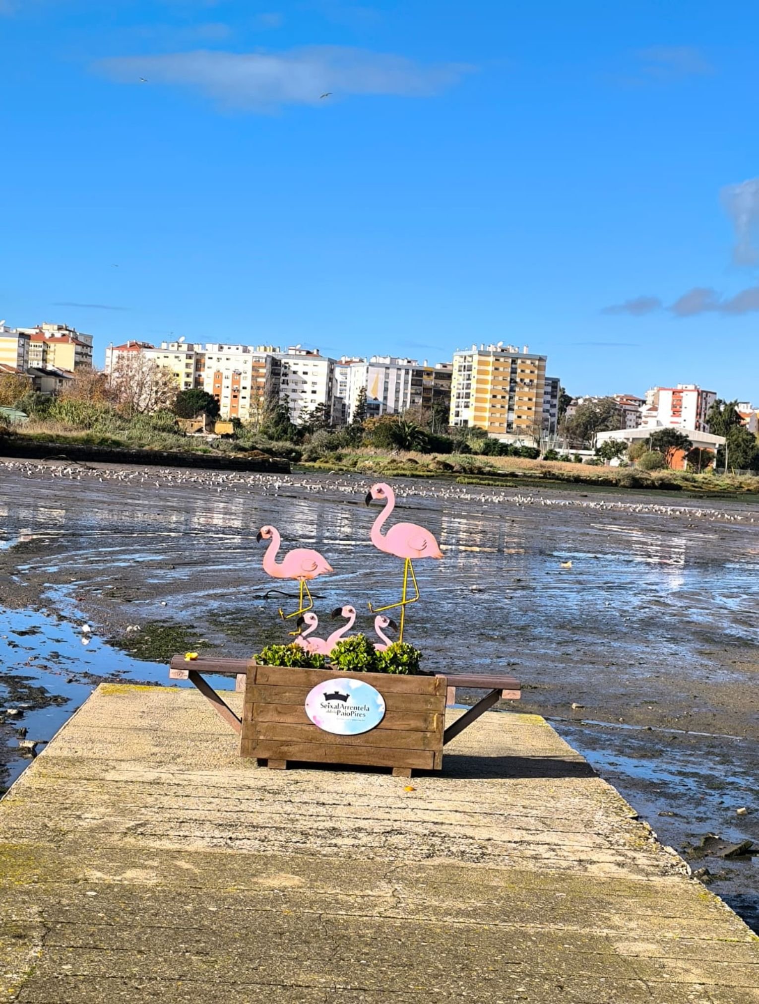 adqchiado-caminhadas-gal-02