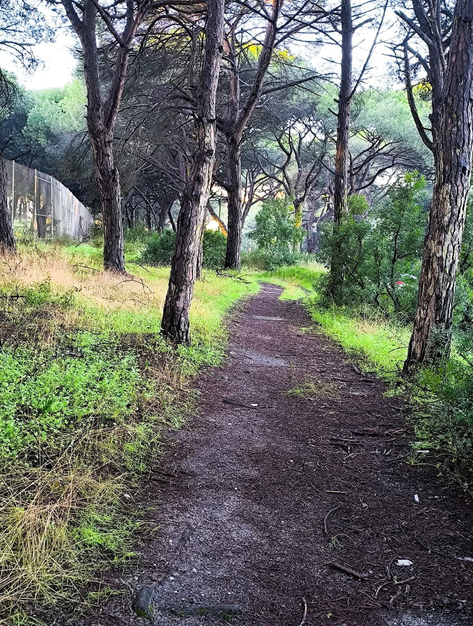 adqchiado-caminhadas-gal-04