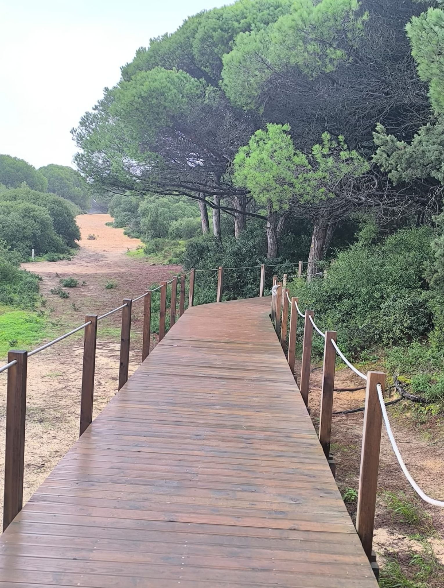 adqchiado-caminhadas-gal-05