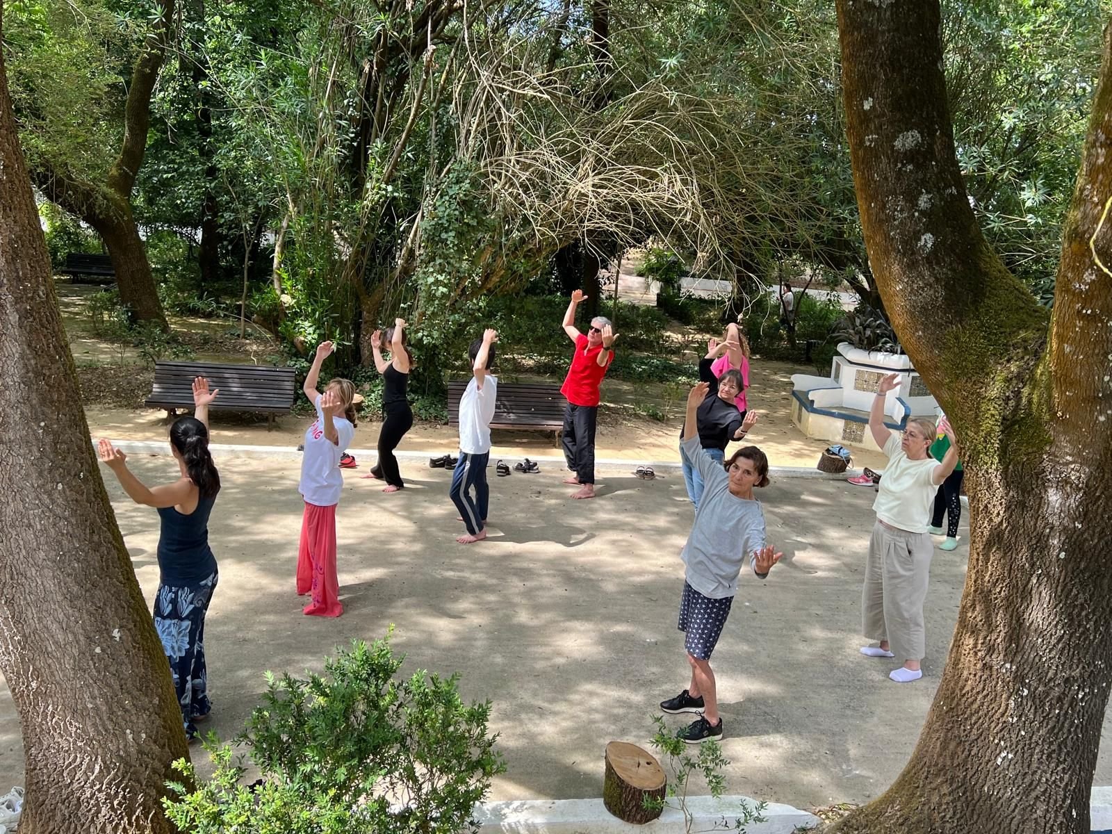 adqchiado-dancagroove2 (2)